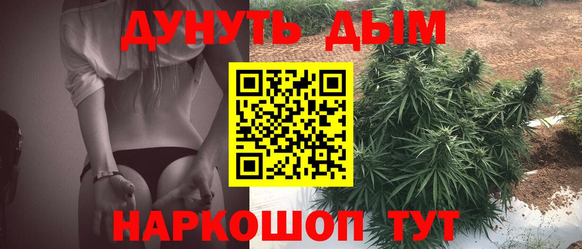 Канабис OG Kush Красноармейск
